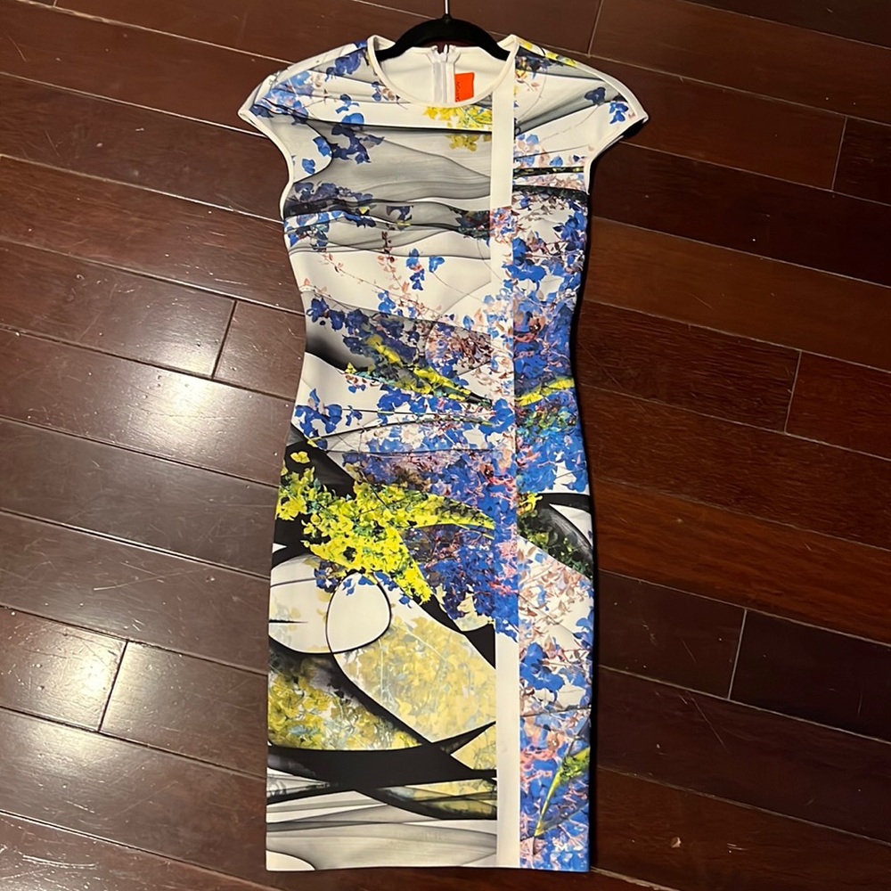 Clover canyon dress size 0